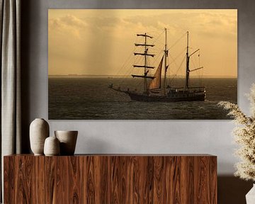 Sailing ship at Oosterschelde by MSP Canvas