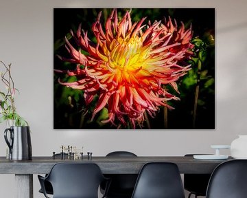 dahlias en fleurs sur Dieter Walther