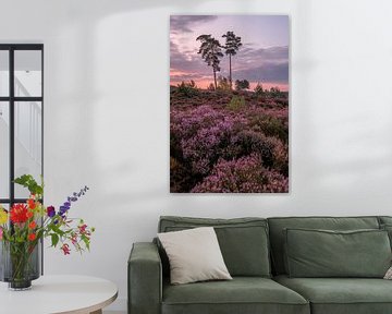 De paarse kleurenpracht van de heide van Moetwil en van Dijk - Fotografie