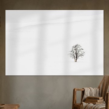 Solitary tree in Yellowstone National Park