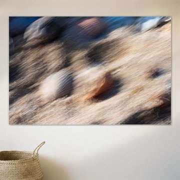 Le vent dans les coquillages