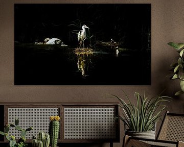 Watervogels 'Nieuw leven' van Foto Studio Labie
