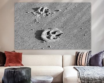 Traces in the sand by MSP Canvas