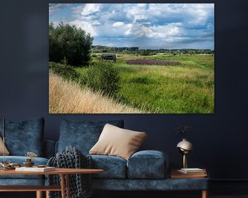 Scenic view over the heather and swamp of the Borchbeemden natur