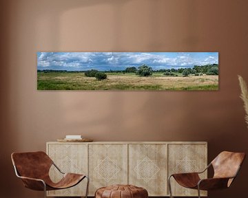 Très grande vue panoramique sur la bruyère sèche avec des veines colorées. sur Werner Lerooy