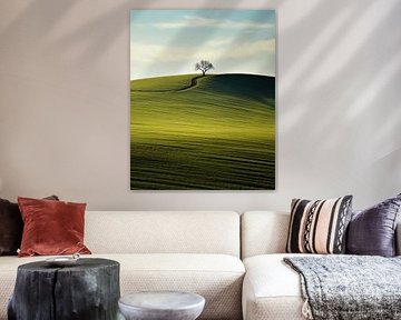 Minimalisme esthétique