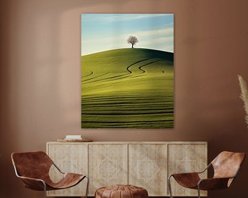 Ästhetischer Minimalismus