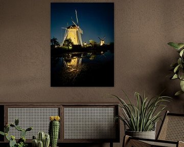 Historische Windmühle in Kinderdijk mit Spiegelung im Wasser von Erwin Pilon