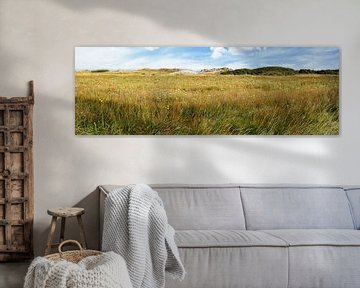 Dunes of Goeree with salt marshes and salt marshes