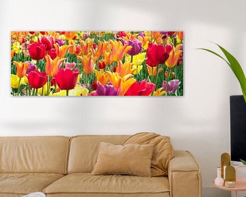 Tulpen van frans bouwmeester