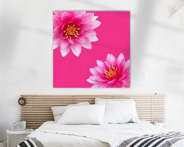 water-lily-neon-pink by Klaartje Majoor