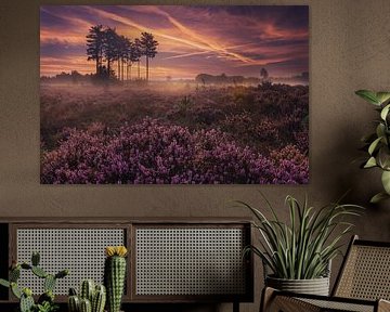 Colour spectacle by Gerard Stasse Fotografie