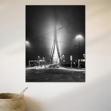 A mysterious Erasmus Bridge in black and white