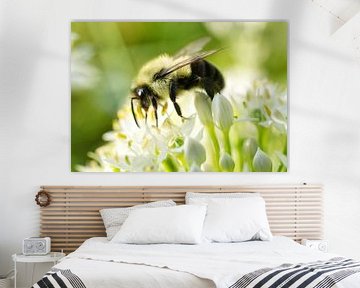 Hommel op knoflookbieslook van Iris Holzer Richardson