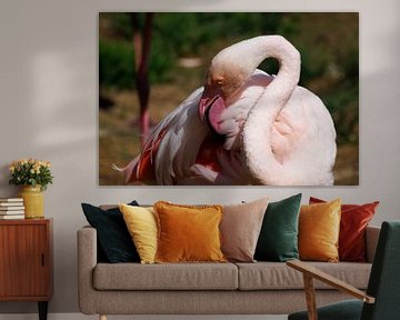 Flamingo von John Brugman