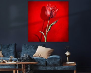 Tulips Are Red sur Marja van den Hurk