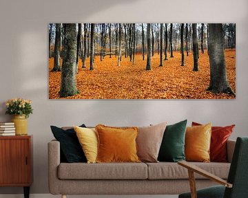 Orange Leaves Landscape,  Hoog Soeren, Veluwe sur Remco Bosshard