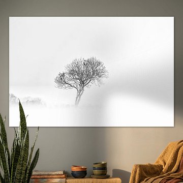 Ein wettergeformter Baum im Nebel.