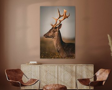 Stag portrait by Wesley Klijnstra