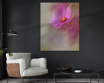 Cosmea bloem in de wind van Maneschijn FOTO