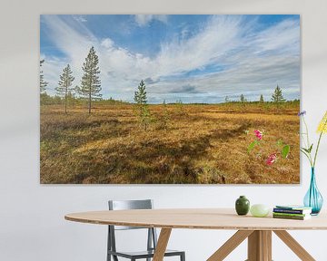 berenland in zweden  van Geertjan Plooijer