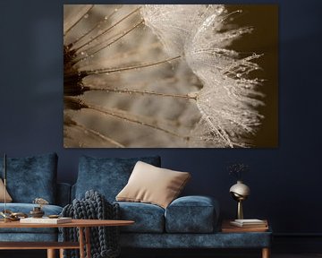 Brown shades: Close-up of fluff on a dandelion with water droplets by Marjolijn van den Berg