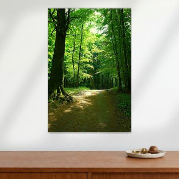 bos van Ostsee Bilder