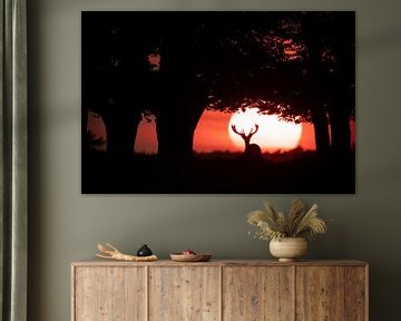 Red Deer at Sunset