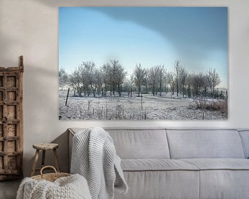 Winter landscape. Frost and snow by Martin Köbsch