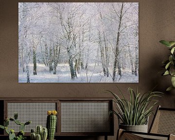 Paysage hivernal avec des bouleaux recouverts de neige et de givre sur Martin Köbsch