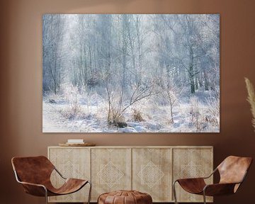 Winter landscape with snow and frost covered birch trees by Martin Köbsch