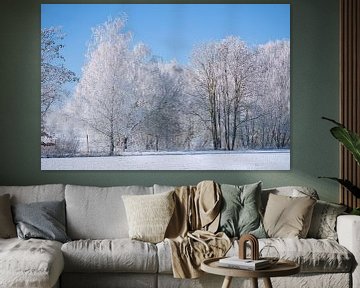 Winterlandschap met berken bedekt met sneeuw en vorst van Martin Köbsch