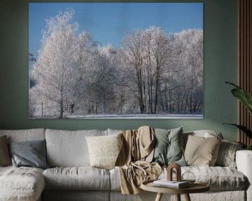 Winterlandschaft mit Schnee und Reif bedeckten Birken von Martin Köbsch