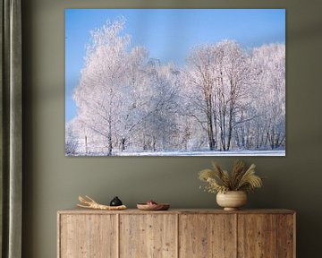 Paysage hivernal avec des bouleaux recouverts de neige et de givre sur Martin Köbsch