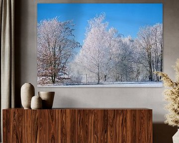 Winterlandschaft mit Schnee und Reif bedeckten Birken von Martin Köbsch