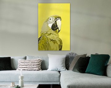 Perroquet Macaw en jaune sur Whale & Sons