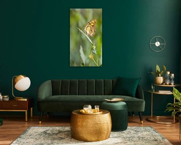 Green Butterfly van Shanna van Mens Fotografie