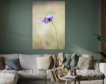 Greater veined white by Willem Louman