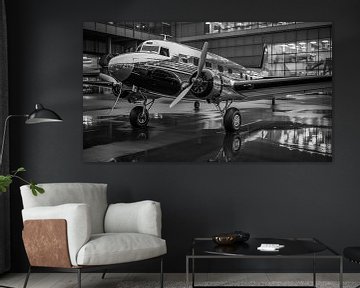 Avion vintage dans un hangar sur Animaflora PicsStock