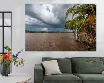 Suriname-Fluss von Lex van Doorn