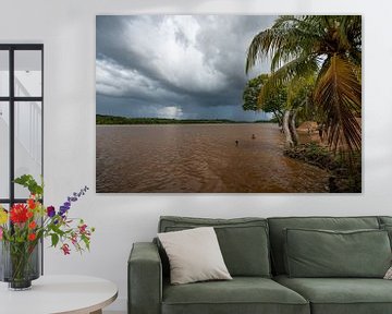 Suriname river by Lex van Doorn