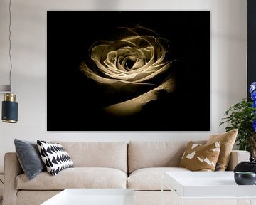 Golden Rose by erikaktus gurun