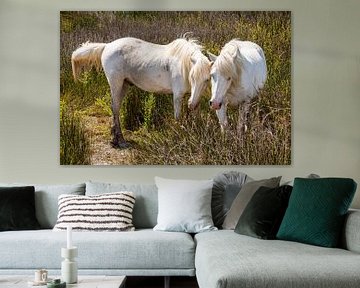 Chevaux de Camargue sur Dieter Walther