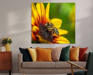 Bee on a yellow sunflower blossom by ManfredFotos