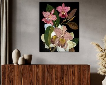 Orchideen für Phyllis Botanical, giovanna nicolo von 1x