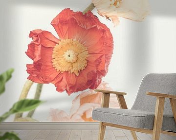 Poppies by Kathrin Pienaar