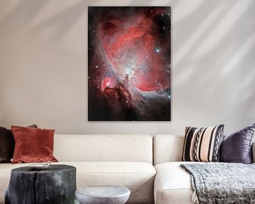 Le cœur de la grande nébuleuse d'Orion (M42), Michael Kalika sur 1x
