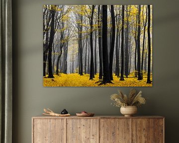 Forêt dorée sur Tvurk Photography