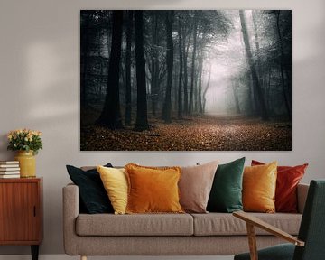 Automne sombre sur Tvurk Photography