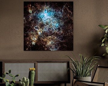 Tarantula nebula, Vikas Chander van 1x